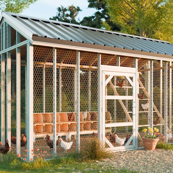 10x20インチの大型鶏舎設計図：DIY裏庭鶏小屋（デジタルPDF）