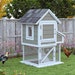 see more listings in the Up to 8 chickens section