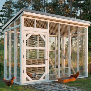Puede incluir: Gallinero de madera blanco con un recinto de malla metálica. El gallinero tiene una puerta y una caja de anidación. Hay gallinas dentro del gallinero y fuera en la hierba.