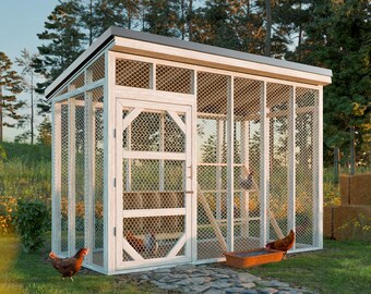 6x12 DIY Chicken Run Plans | Spacious Walk-In Enclosure with Predator-Proof Wire Mesh
