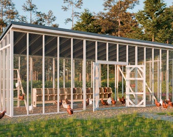 10x30 Large DIY Chicken Run Plans – Easy Backyard Coop Enclosure for 30+ Chickens