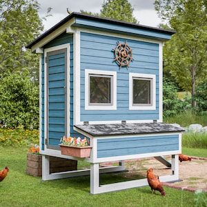 Walk-In Chicken Coop Plans: 5x6 for 6 Chickens