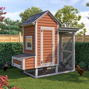 Chicken Coop Plans 4x8 Walk In Chicken Run for 10 Chickens