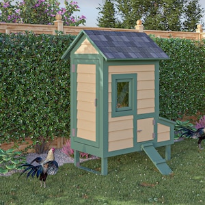 Chicken Coop Plans 2x4 Walk In Chicken Coop for 6 Chickens