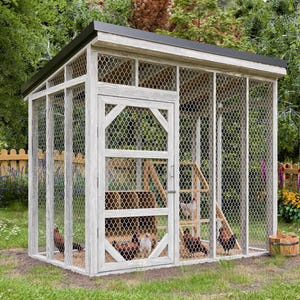 6x10 DIY Chicken Run Plans – Secure Backyard Run for 6 Chickens