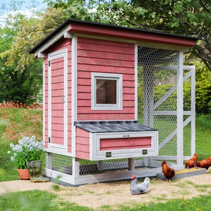 Chicken Coop Plans 4x8 Walk In Chicken Run for 8 Chickens