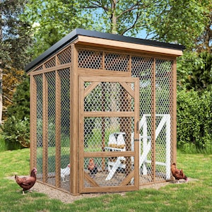 6x8 Chicken Run Plans – DIY Enclosed Walk-In Chicken Run with Secure Wire Mesh
