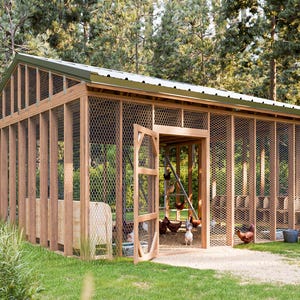 May include: A wooden chicken coop with a wire mesh enclosure. The coop has a green metal roof and a wooden door. There are several chickens inside the coop and a few more outside.