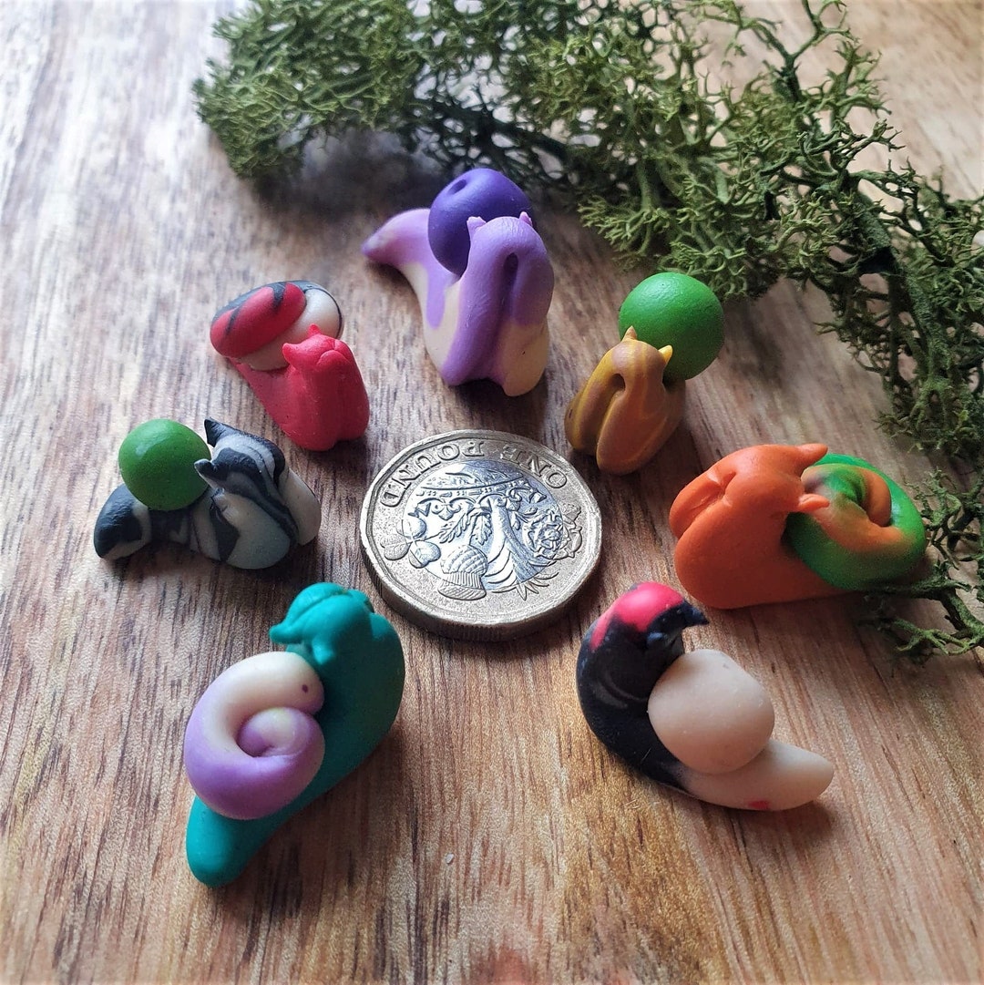 The missed Clutch Mystery Box Etsy