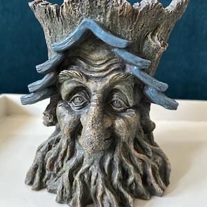May include: A detailed resin planter, shaped like a tree stump with a face. The face has a long nose, furrowed brow, and a beard. The planter is primarily brown and green with blue accents on the roof-like structure above the face.