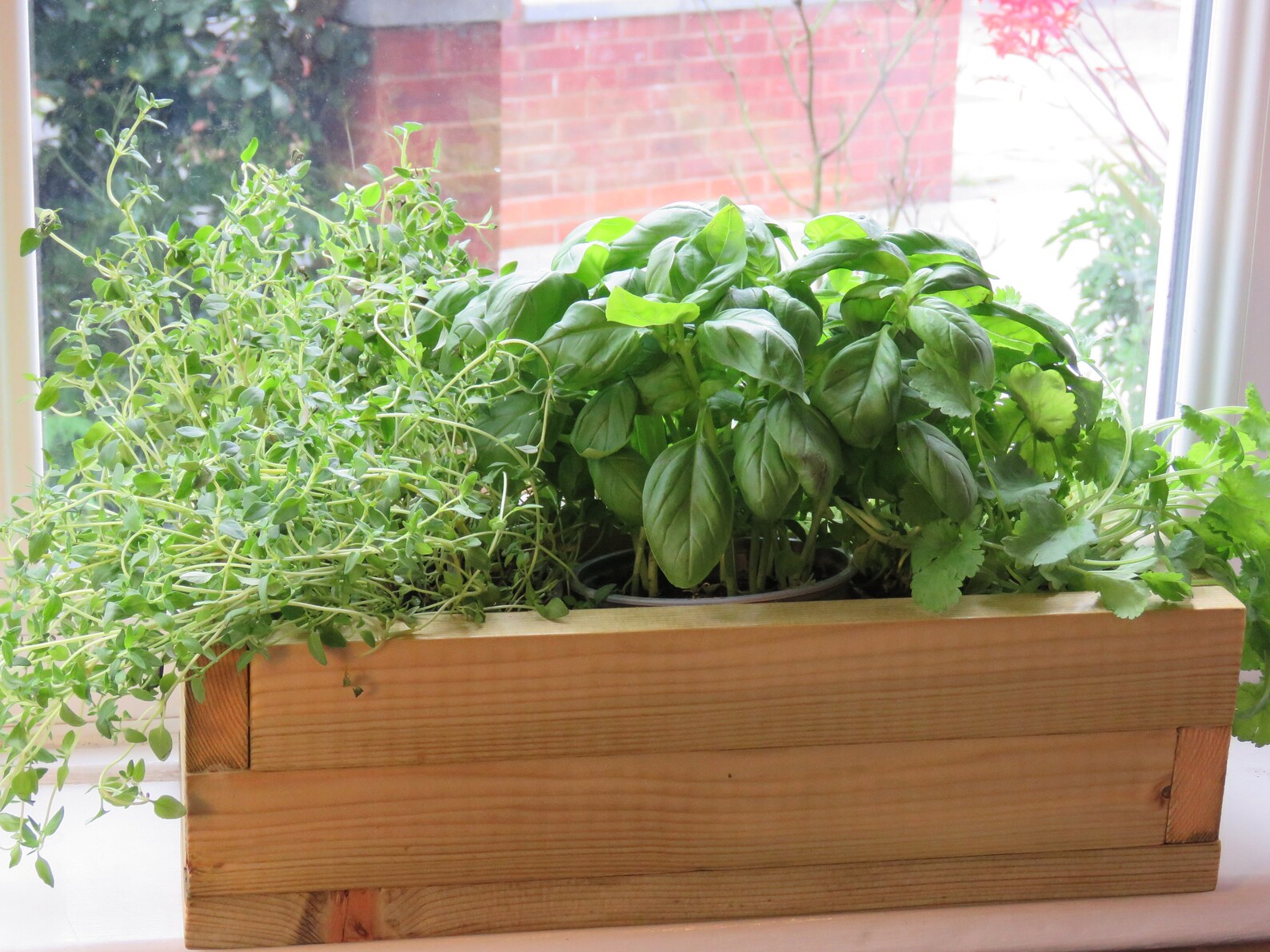 Rustikale Holz Fenster Box 3-Topf lang Indoor Kräuter | Etsy