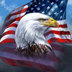 The Patriot American Eagle Flag, Patriotic Christian Artwork, Canvas ...