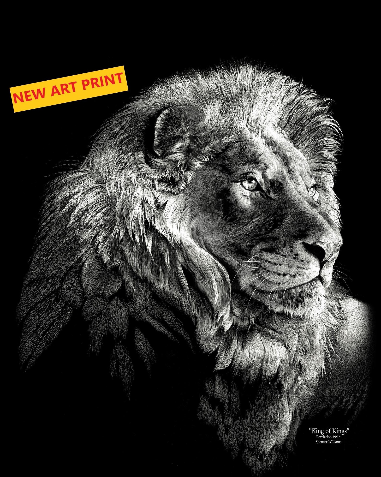 Scratchboard Lion Wildlife Art Canvas Giclée by Spencer Etsy