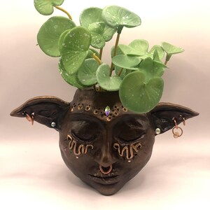 May include: A brown ceramic face planter with closed eyes, decorated with gold accents, a nose ring, and earrings. It contains a vibrant green plant with round leaves. A unique decorative piece for the home.