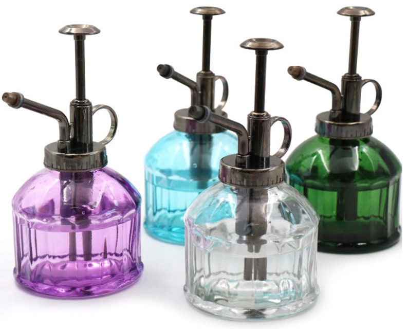 Glass Indoor House Plant Mister. Sprayer Great for Plants