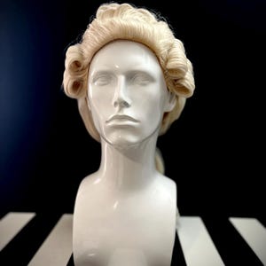 period gentlemen wig , costume historical , men hair Georgian , baroque , Venetian noble Marie Antoinette French powdered reenacting opera