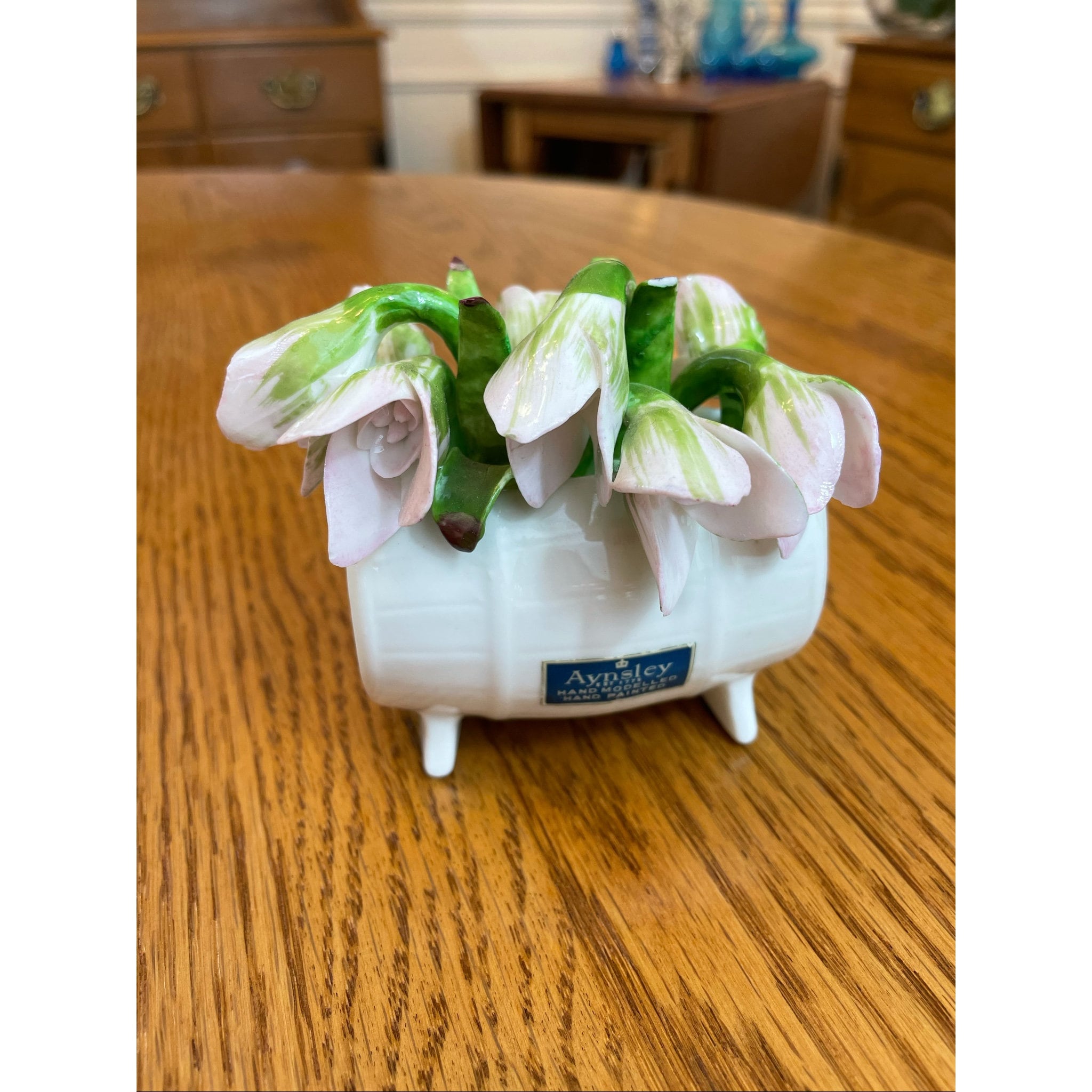 Aynsley January Snowdrop Fine Bone China Barrel Flowers Hand Modelled &  Painted | eBay