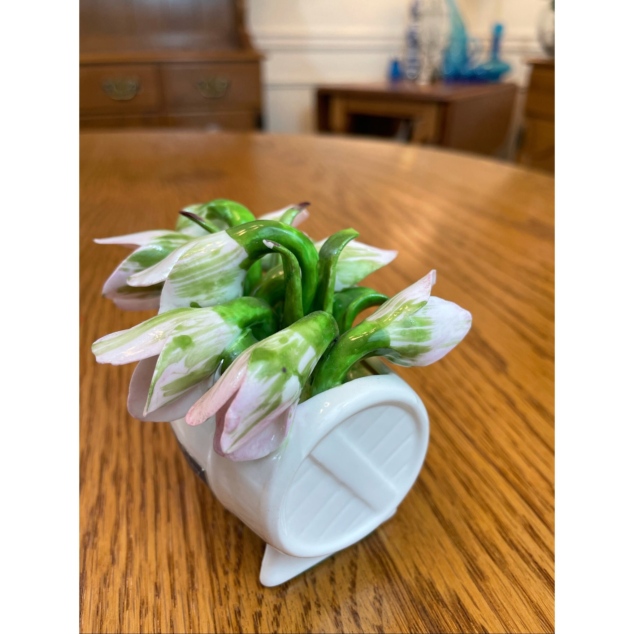 Aynsley Est. 1775 Made In England January Snowdrop White Barrow w/Dropping  Pale Pink Capodimonte Tulips Fine Bone China - Etsy Italia