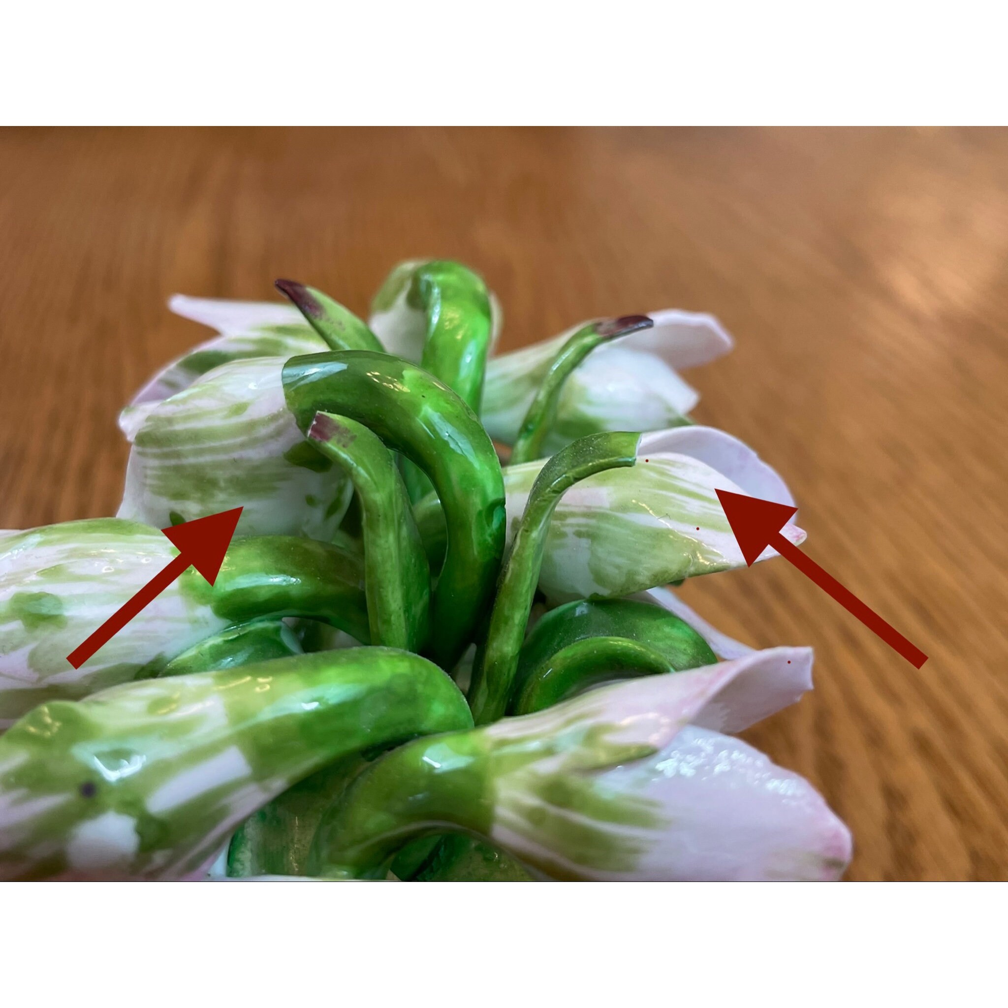 Aynsley January Snowdrop Fine Bone China Barrel Flowers Hand
