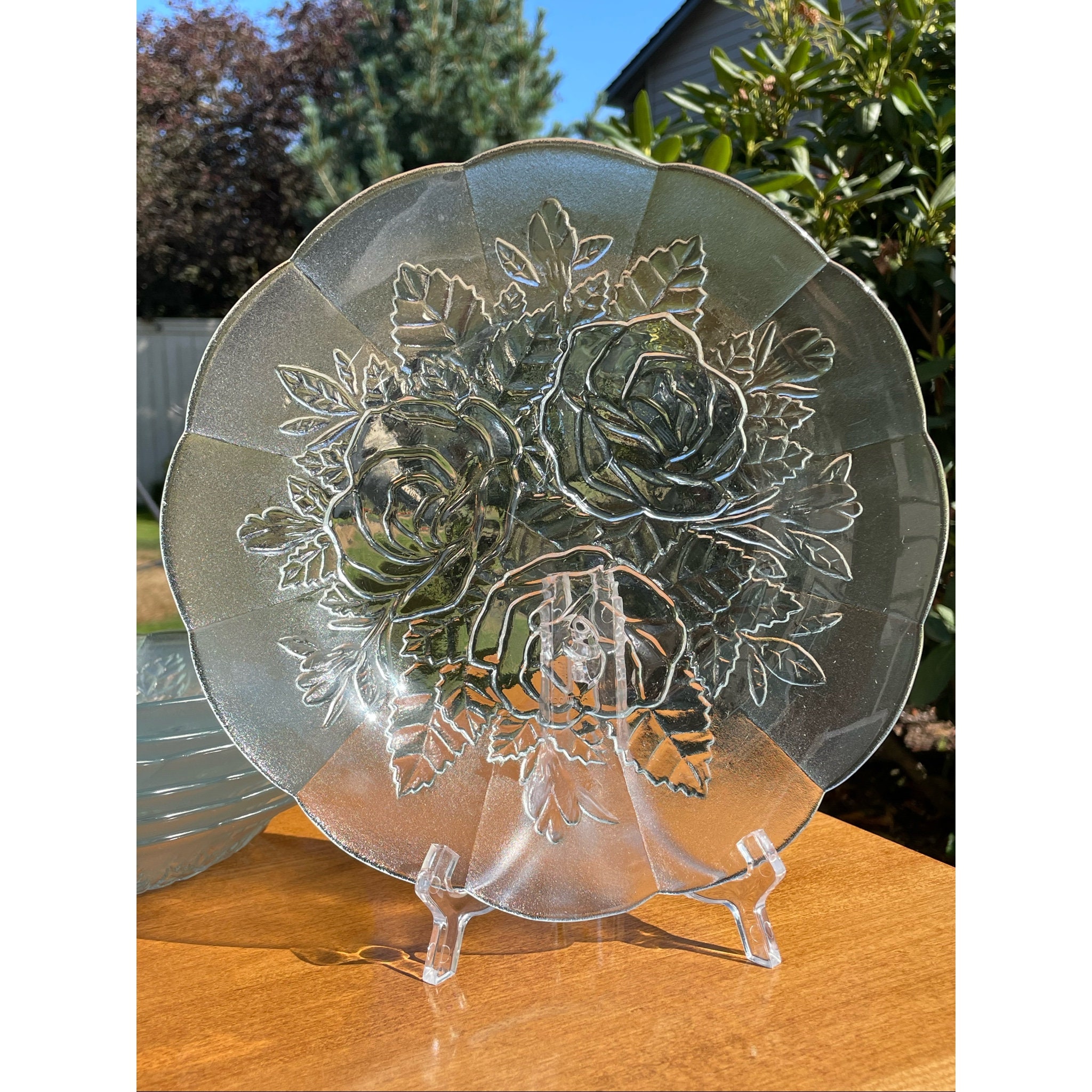 Vintage PASARI Crystal Livia Rose Embossed Textured Rim