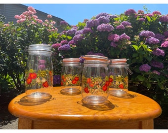 Vintage 1970s ARC France "Spice O' Life" Pattern Glass Canisters with Hinged Lid Set of 4 Made In France