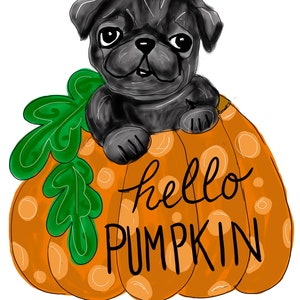 pug pumpkin TEMPLATE