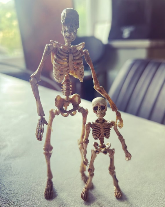 Skeleton Action Figures Skeleton Dog Skeleton Child Skeleton