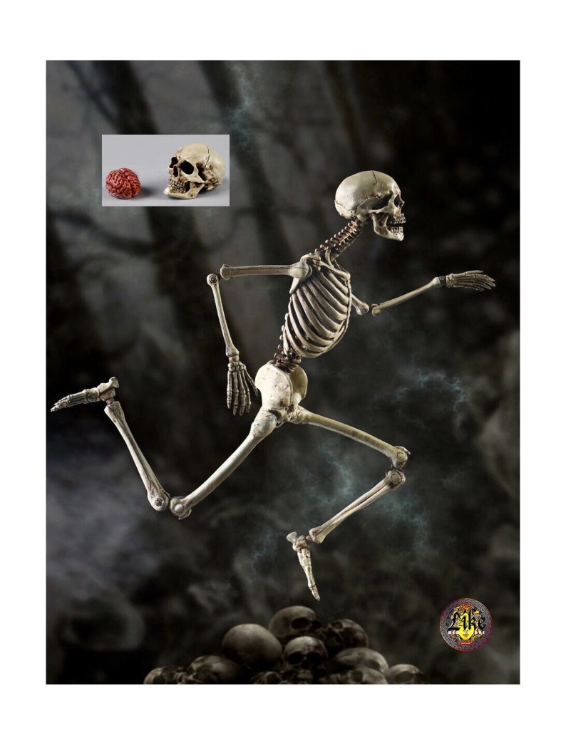 Skeleton Action Figure Joint Movable Anatomical Model Etsy