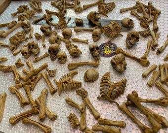 Miniature Human Bones, Horror Halloween diorama, terrarium, room box