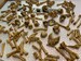 Mini Skulls - Mini Bone - Skull Figure - Big Pile Of Bones 12th Scale - Miniature Skeleton - Dead Skull - Human Skeleton - Bone Set - hallow 