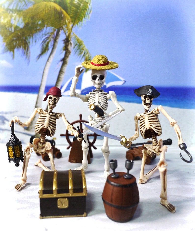 Skeleton Action Figure Joint Movable Anatomical Model Etsy