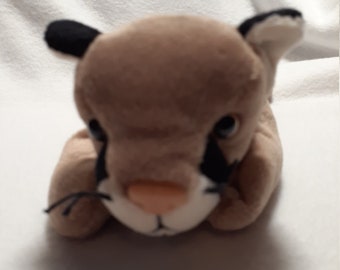 canyon beanie baby 1998 value