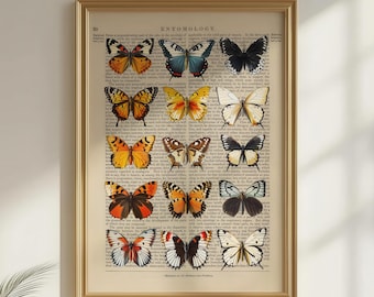 Vintage Butterfly Print, Natural History Dictionary Wall Art, Antique Entomology Poster, Dark Academia, Gothic, Cottagecore Artwork Decor