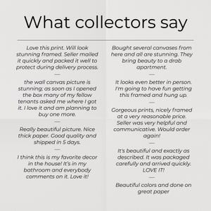 Customer review graphic with feedback about print quality, framing, packaging, color and appearance in person. The review panel accompanies this colorful floral wall art set of 3 and highlights buyer impressions of the finished prints and framed presentation.