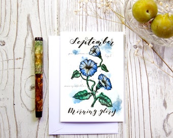 September Morning Glory Birth Flower Botanical Card