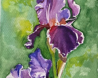 May include: Watercolour painting of two purple iris flowers with green foliage in the background.