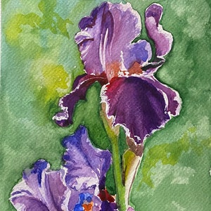 Iris Original Watercolor Painting Small Floral Artwork Purple Flower Wall Decor