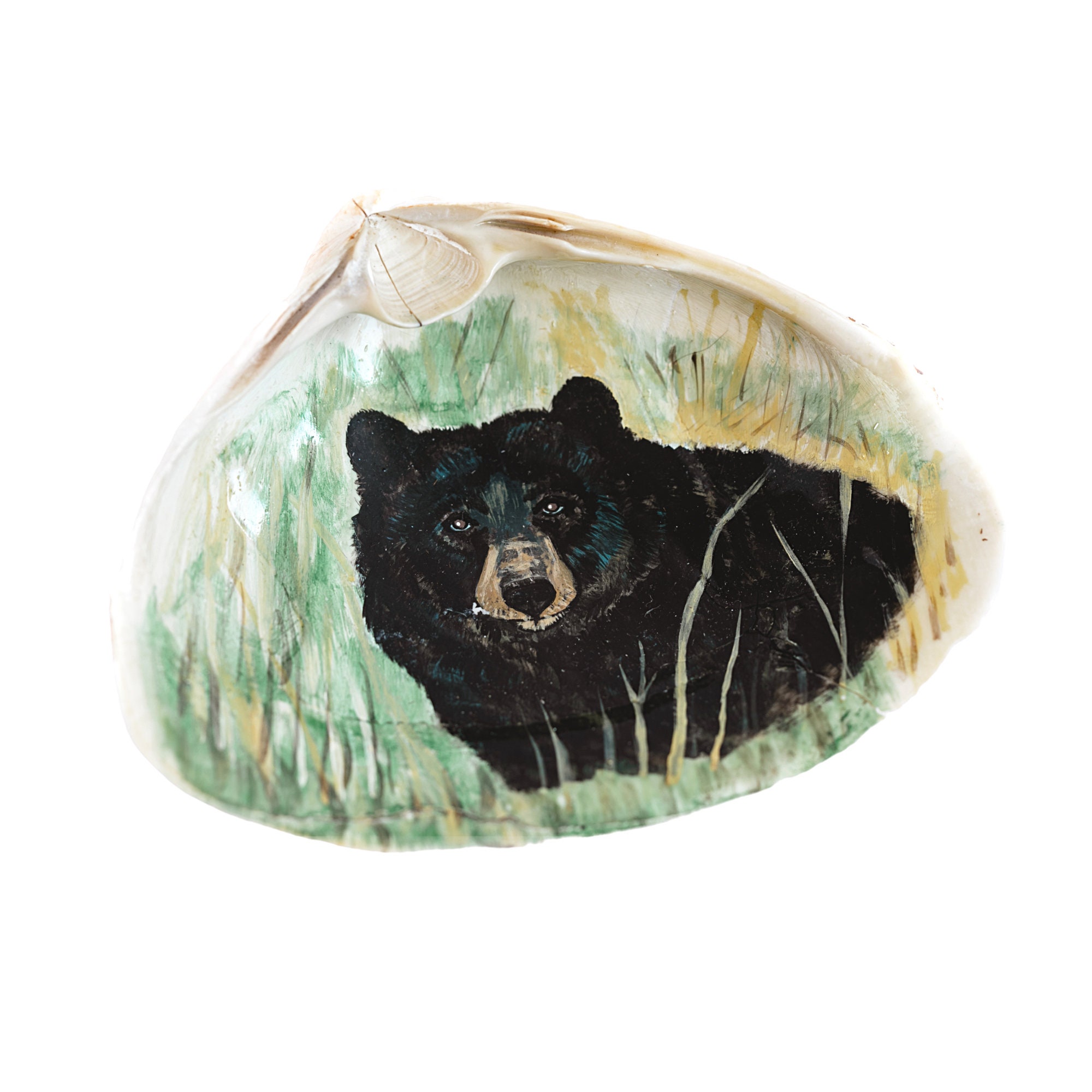 Maine Black Bear Hand-painted Wildlife Art in Acrylic on - Etsy
