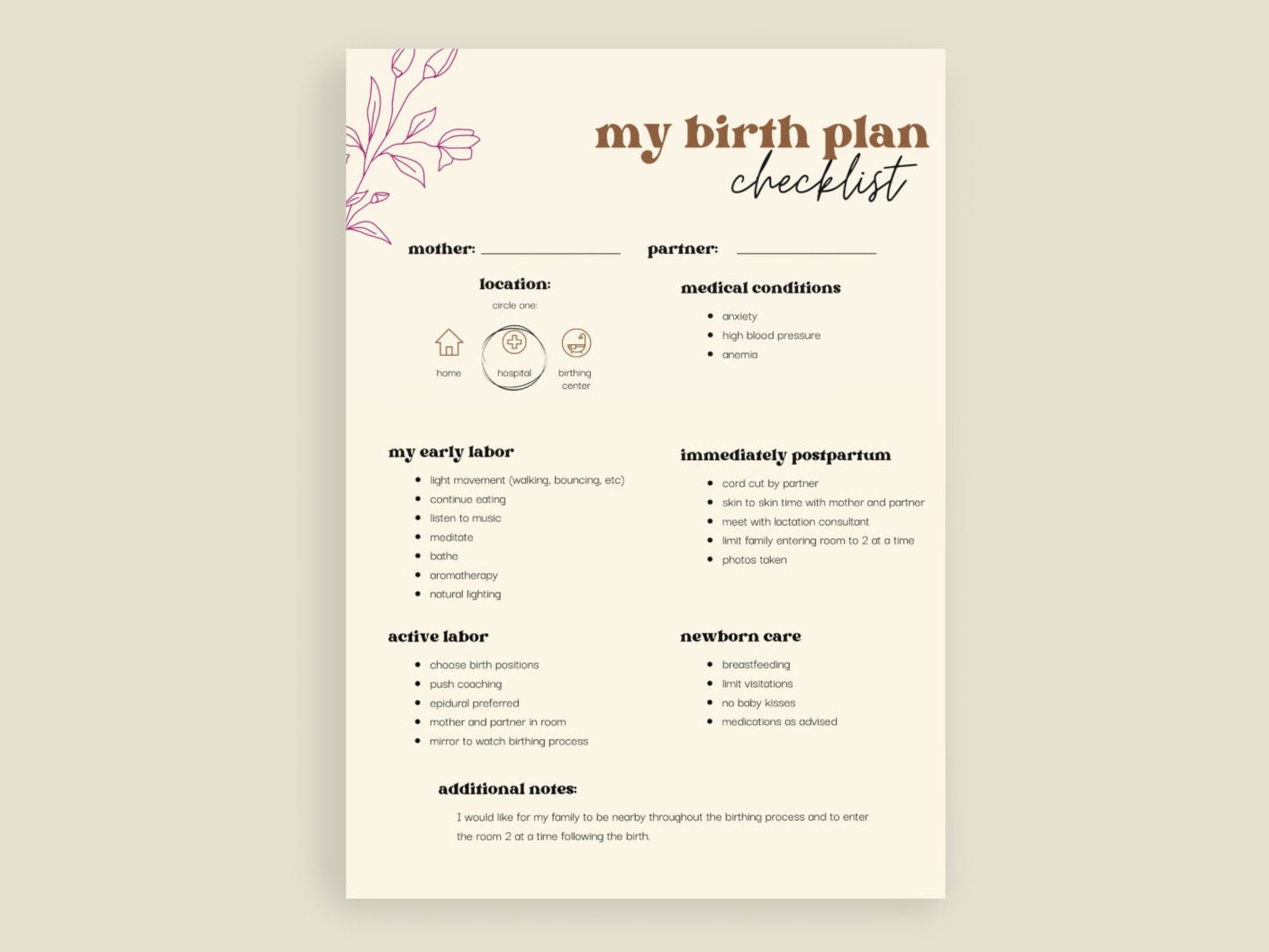 Birth Plan Visual Birth Plan Birth Plan Template Canva - Etsy Australia