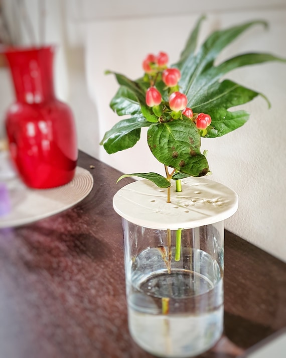 ETUCYNG 10-teiliger Schwimmender Blumenhalter – Transparentes Hydrokultur-Set Für Vasen, Aquarien & Schalen, Blumenarrangement Für Zuhause & Events Transparenter Blumenhalter