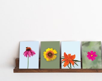 Flower Postcard Set of 4 | Illustrated Floral Cards (Echinacea, Lily, Firewheel, Cosmos)