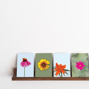 May include: Four floral art prints displayed on a wooden shelf. The prints feature close-up images of various flowers: a pink coneflower, a yellow and brown flower, an orange lily, and a pink cosmos. Each print has a different colored background.