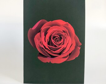 Red Rose Greeting Card | Illustrated Rose Card | Red Rose Valentine's Day Card
