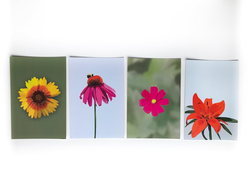 Illustrated Floral Cards Flower Postcard Set of 4 Echinacea, Lily, Firewheel, Cosmos