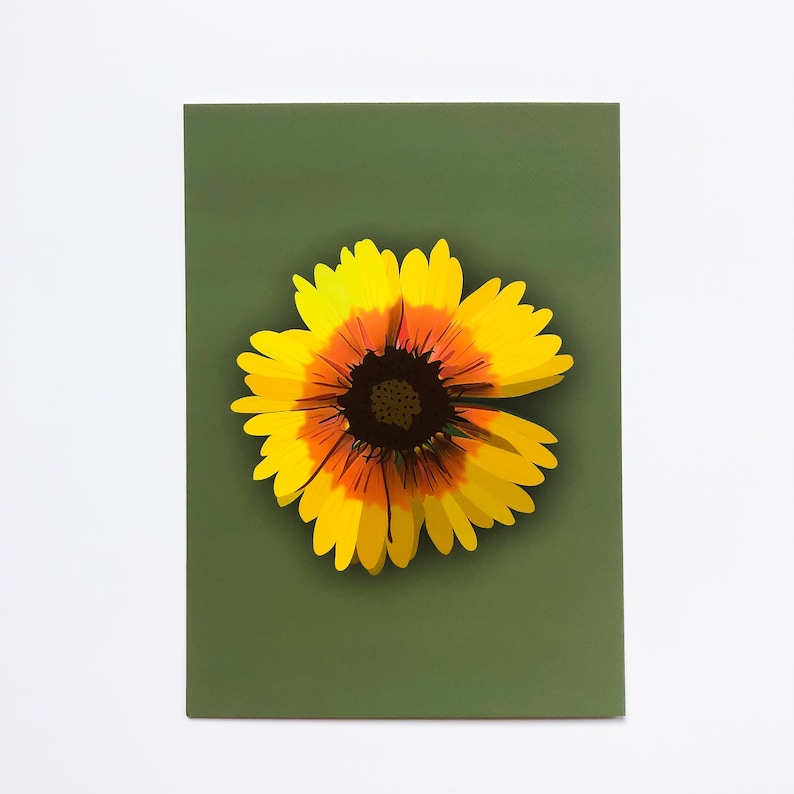 Illustrated Floral Cards Flower Postcard Set of 4 Echinacea, Lily, Firewheel, Cosmos