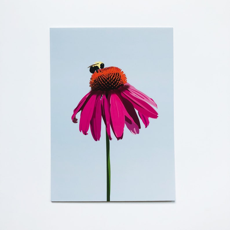 Illustrated Floral Cards Flower Postcard Set of 4 Echinacea, Lily, Firewheel, Cosmos