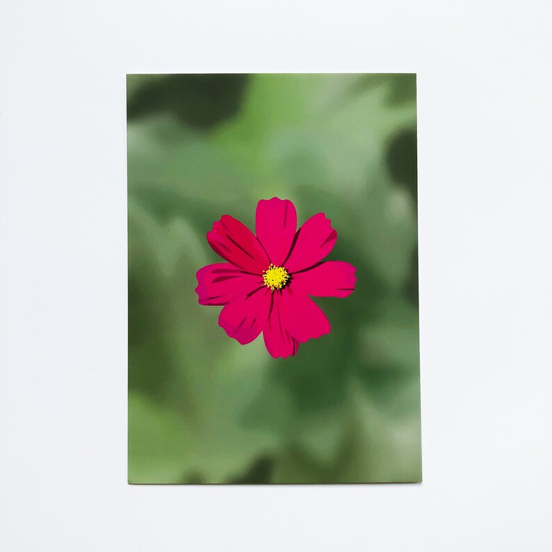 Illustrated Floral Cards Flower Postcard Set of 4 Echinacea, Lily, Firewheel, Cosmos