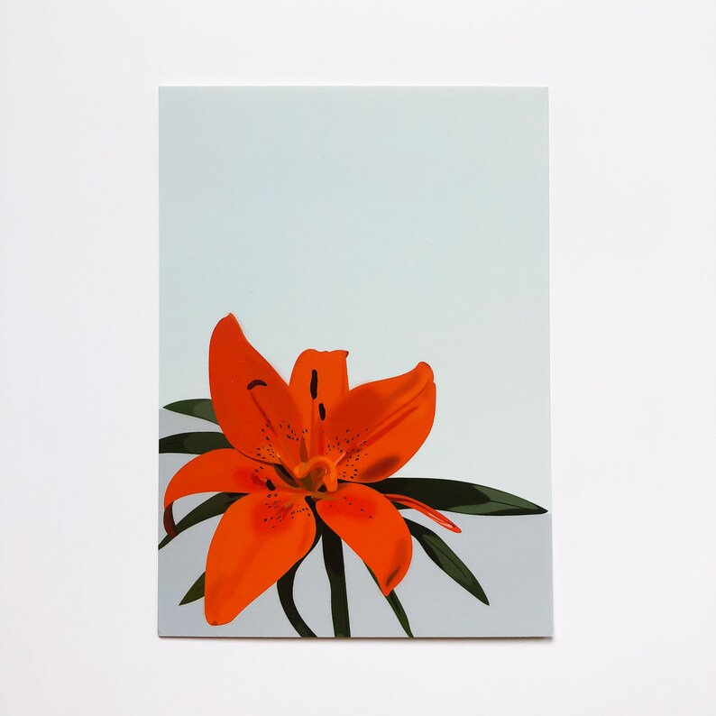 Illustrated Floral Cards Flower Postcard Set of 4 Echinacea, Lily, Firewheel, Cosmos