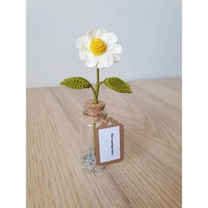 Small handmade crochet daisy flower in glass bottle - with magical glitter and personalised message