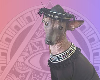 Xolo Jacket Etsy